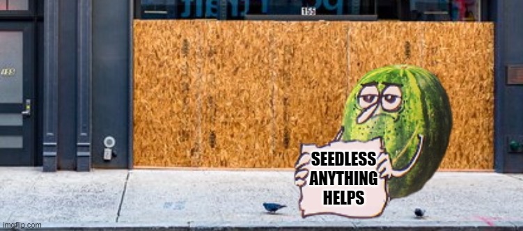 SEEDLESS ANYTHING HELPS | made w/ Imgflip meme maker