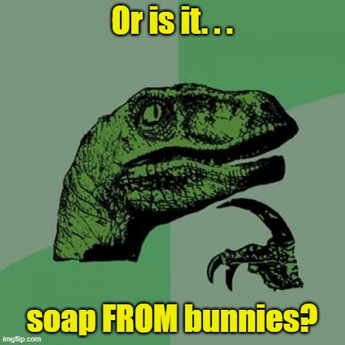 Philosoraptor Meme | Or is it. . . soap FROM bunnies? | image tagged in memes,philosoraptor | made w/ Imgflip meme maker