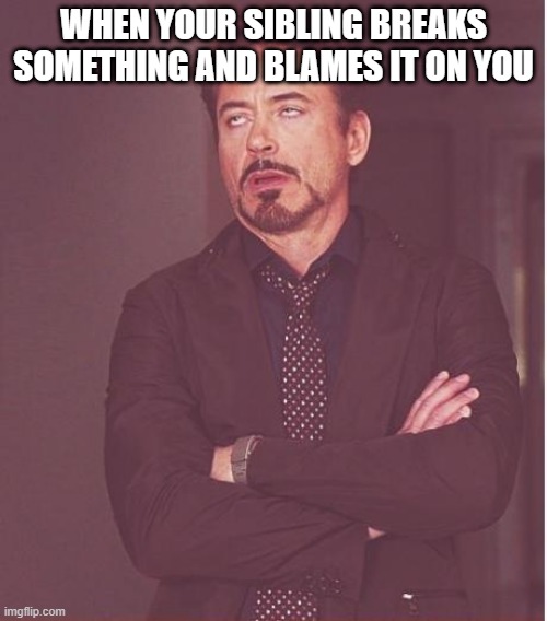 Face You Make Robert Downey Jr Meme | WHEN YOUR SIBLING BREAKS SOMETHING AND BLAMES IT ON YOU | image tagged in memes,face you make robert downey jr | made w/ Imgflip meme maker
