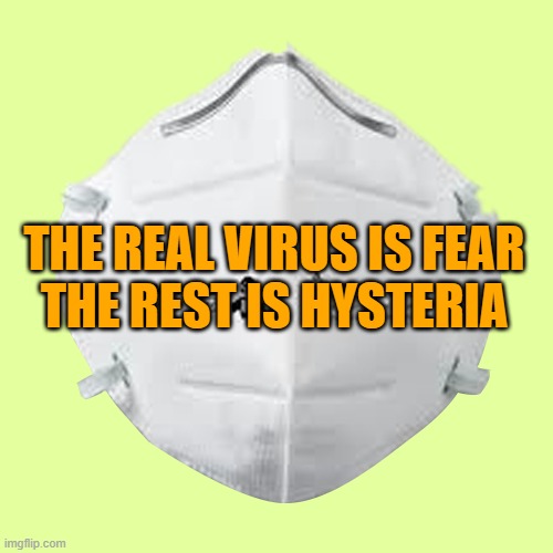 COVID-19 Hoax | THE REAL VIRUS IS FEAR
THE REST IS HYSTERIA | image tagged in n95 mask | made w/ Imgflip meme maker