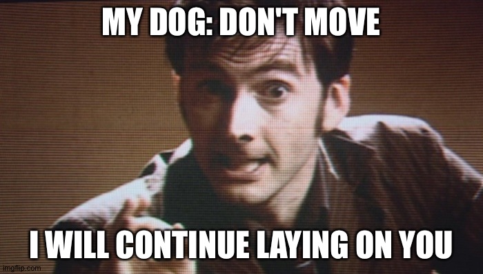 Don't Blink | MY DOG: DON'T MOVE; I WILL CONTINUE LAYING ON YOU | image tagged in don't blink | made w/ Imgflip meme maker