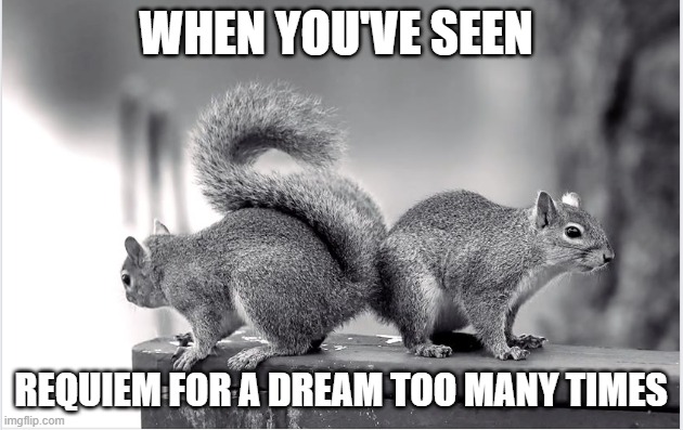 Requim For A Dream | WHEN YOU'VE SEEN; REQUIEM FOR A DREAM TOO MANY TIMES | image tagged in funny | made w/ Imgflip meme maker