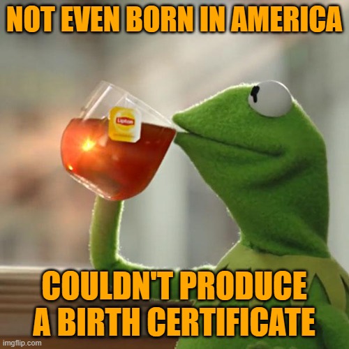 But That's None Of My Business Meme | NOT EVEN BORN IN AMERICA COULDN'T PRODUCE A BIRTH CERTIFICATE | image tagged in memes,but that's none of my business,kermit the frog | made w/ Imgflip meme maker