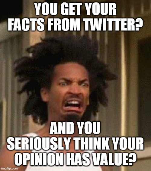 Disgusted Face | YOU GET YOUR FACTS FROM TWITTER? AND YOU SERIOUSLY THINK YOUR OPINION HAS VALUE? | image tagged in disgusted face | made w/ Imgflip meme maker