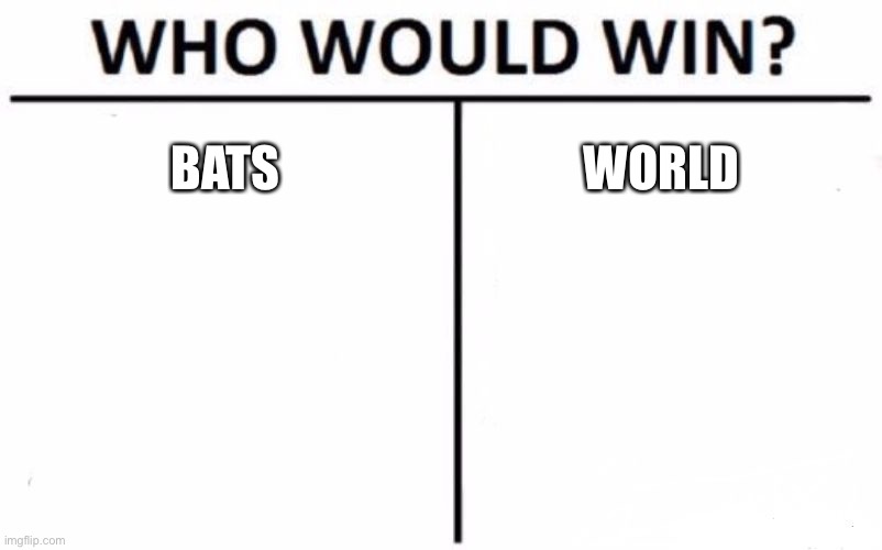 Who Would Win? | BATS; WORLD | image tagged in memes,who would win | made w/ Imgflip meme maker