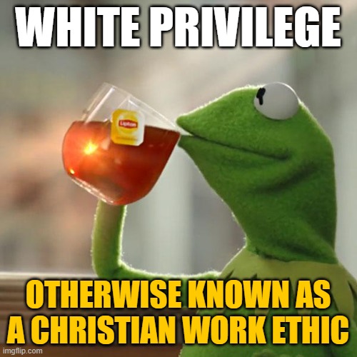But That's None Of My Business Meme | WHITE PRIVILEGE OTHERWISE KNOWN AS A CHRISTIAN WORK ETHIC | image tagged in memes,but that's none of my business,kermit the frog | made w/ Imgflip meme maker