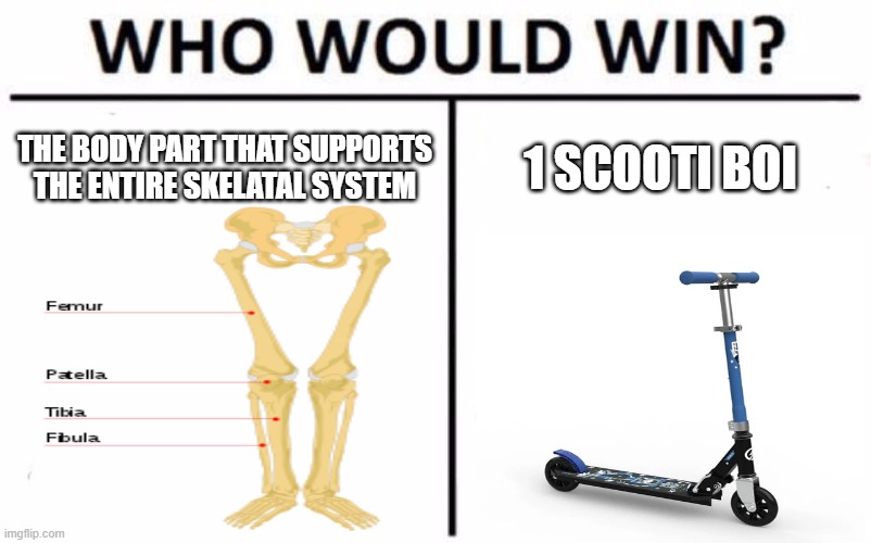 who would win? | THE BODY PART THAT SUPPORTS THE ENTIRE SKELATAL SYSTEM; 1 SCOOTI BOI | image tagged in memes,who would win | made w/ Imgflip meme maker