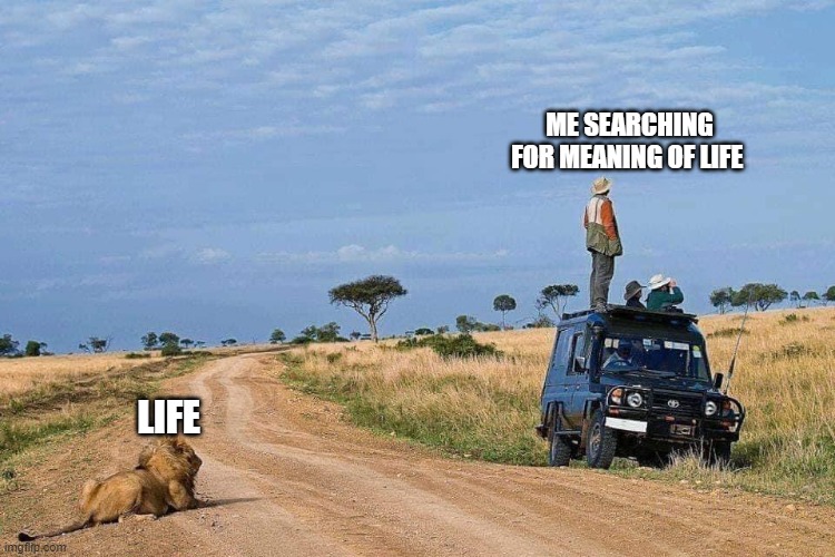 jockers of the world | ME SEARCHING FOR MEANING OF LIFE; LIFE | image tagged in life | made w/ Imgflip meme maker
