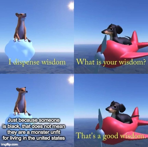 Wisdom dog | Just because someone is black, that does not mean they are a monster unfit for living in the united states | image tagged in wisdom dog | made w/ Imgflip meme maker