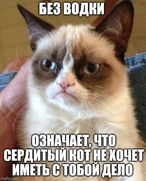 Grumpy Cat | БЕЗ ВОДКИ; ОЗНАЧАЕТ, ЧТО СЕРДИТЫЙ КОТ НЕ ХОЧЕТ ИМЕТЬ С ТОБОЙ ДЕЛО | image tagged in memes,grumpy cat | made w/ Imgflip meme maker