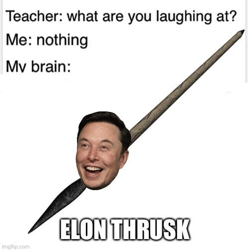 Elon musk | ELON THRUSK | image tagged in elon musk,memes | made w/ Imgflip meme maker