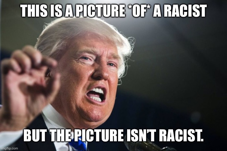 donald trump | THIS IS A PICTURE *OF* A RACIST BUT THE PICTURE ISN’T RACIST. | image tagged in donald trump | made w/ Imgflip meme maker