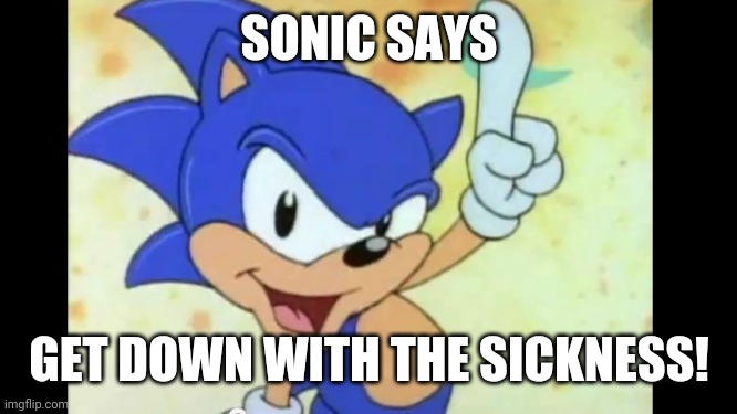 Sonic says | SONIC SAYS; GET DOWN WITH THE SICKNESS! | image tagged in sonic says | made w/ Imgflip meme maker