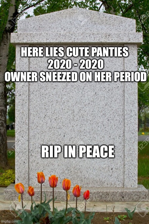 Here lies cute panties | HERE LIES CUTE PANTIES 

2020 - 2020

OWNER SNEEZED ON HER PERIOD; RIP IN PEACE | image tagged in period,grave | made w/ Imgflip meme maker