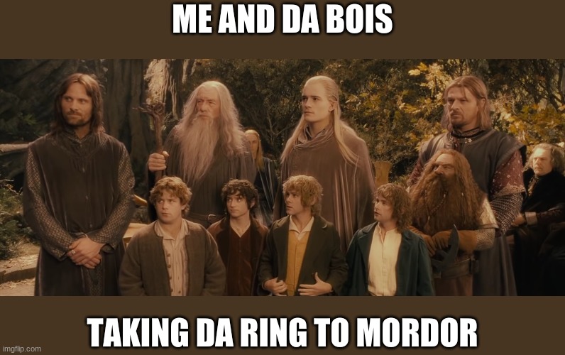 May or may not lose a few. May or may not be seperated | ME AND DA BOIS; TAKING DA RING TO MORDOR | image tagged in the fellowship of the ring,da bois,mordor,one does not simply walk into mordor | made w/ Imgflip meme maker