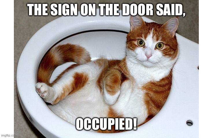 Funny Cat | THE SIGN ON THE DOOR SAID, OCCUPIED! | image tagged in funny cat | made w/ Imgflip meme maker