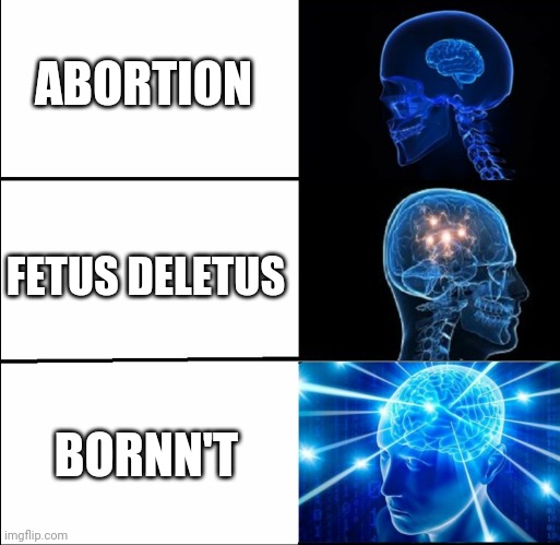  ABORTION; FETUS DELETUS; BORNN'T | image tagged in funny,funny memes | made w/ Imgflip meme maker