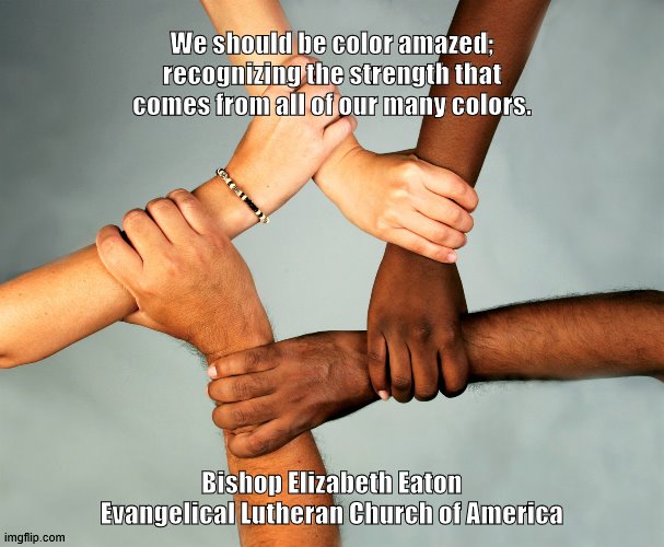 Color Amazed | We should be color amazed; recognizing the strength that comes from all of our many colors. Bishop Elizabeth Eaton
Evangelical Lutheran Church of America | image tagged in american diversity | made w/ Imgflip meme maker