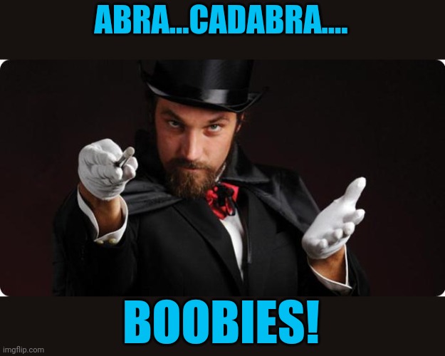 Household Magician | ABRA...CADABRA.... BOOBIES! | image tagged in household magician | made w/ Imgflip meme maker