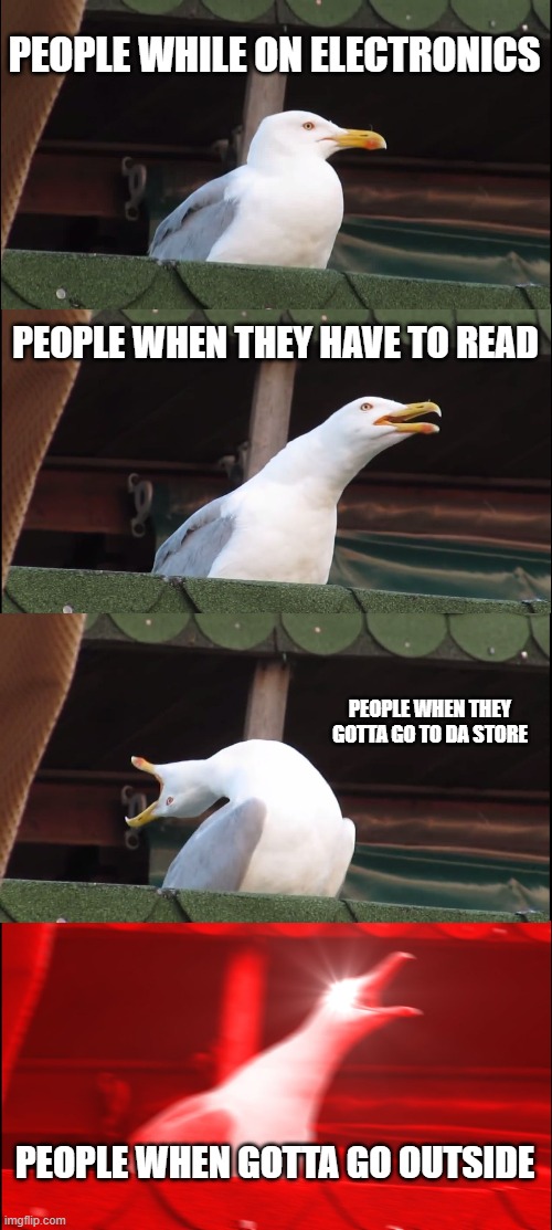 Inhaling Seagull | PEOPLE WHILE ON ELECTRONICS; PEOPLE WHEN THEY HAVE TO READ; PEOPLE WHEN THEY GOTTA GO TO DA STORE; PEOPLE WHEN GOTTA GO OUTSIDE | image tagged in memes,inhaling seagull | made w/ Imgflip meme maker