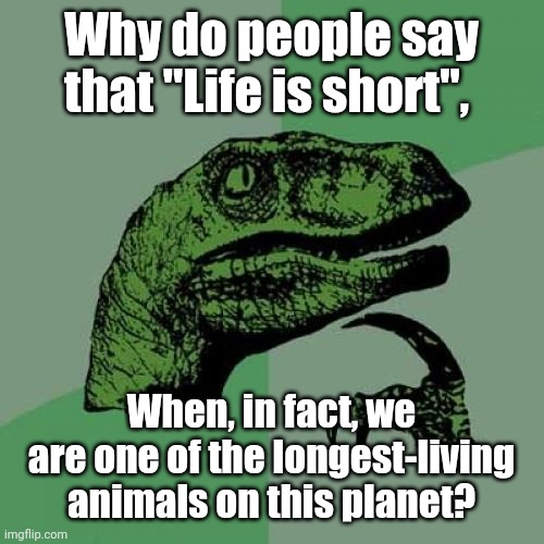 Philosoraptor | Why do people say that "Life is short", When, in fact, we are one of the longest-living animals on this planet? | image tagged in memes,philosoraptor | made w/ Imgflip meme maker