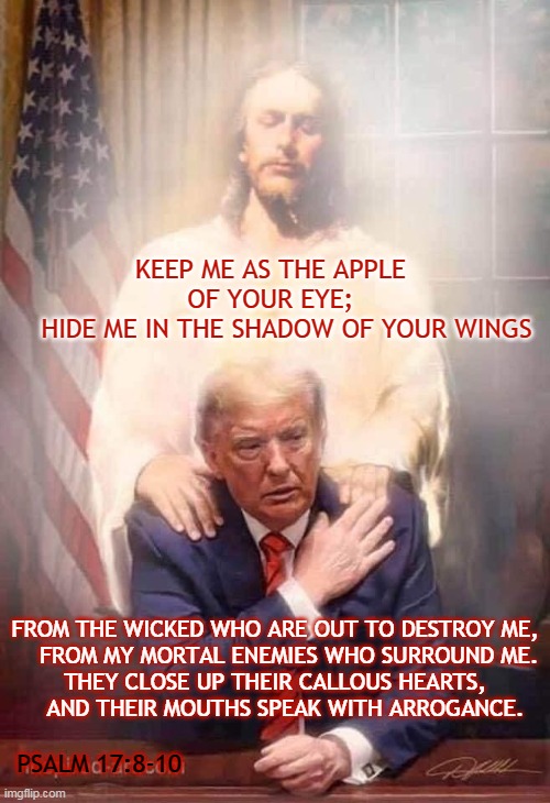 KEEP ME AS THE APPLE OF YOUR EYE;
    HIDE ME IN THE SHADOW OF YOUR WINGS; FROM THE WICKED WHO ARE OUT TO DESTROY ME,
    FROM MY MORTAL ENEMIES WHO SURROUND ME.

THEY CLOSE UP THEIR CALLOUS HEARTS,
    AND THEIR MOUTHS SPEAK WITH ARROGANCE. PSALM 17:8-10 | made w/ Imgflip meme maker