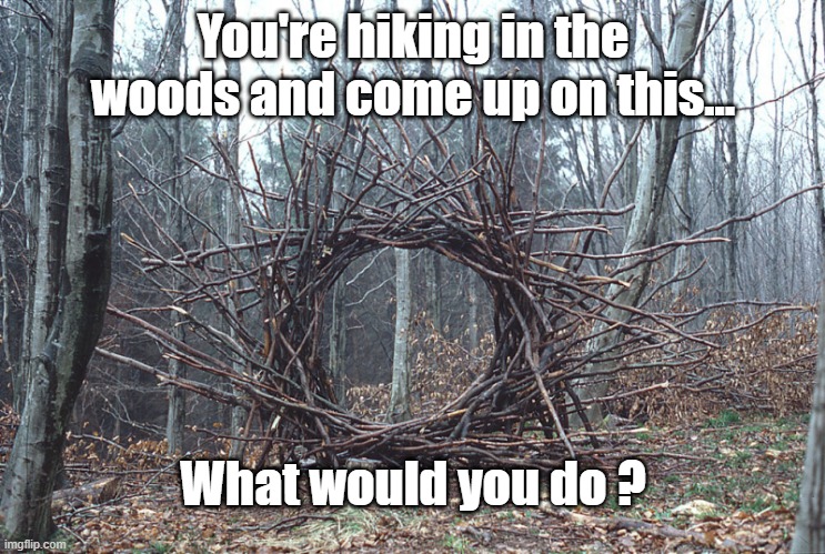 Portal | You're hiking in the woods and come up on this... What would you do ? | image tagged in portal | made w/ Imgflip meme maker