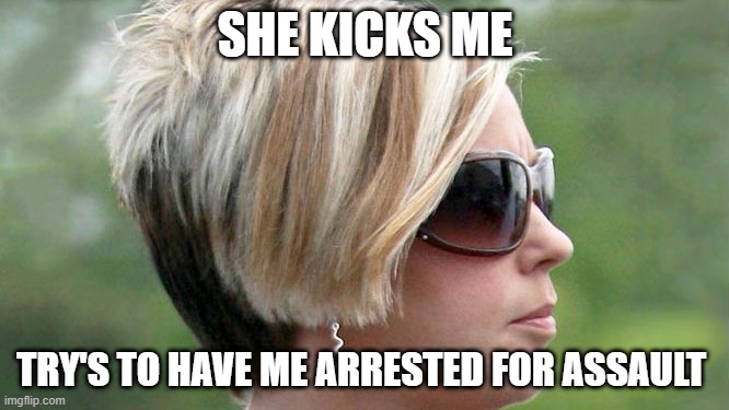 Truth Hurts | SHE KICKS ME; TRY'S TO HAVE ME ARRESTED FOR ASSAULT | image tagged in karen | made w/ Imgflip meme maker