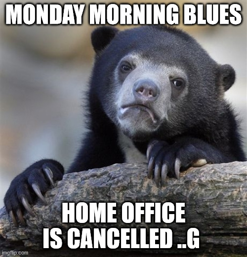 Confession Bear Meme | MONDAY MORNING BLUES; HOME OFFICE IS CANCELLED ..G | image tagged in memes,confession bear | made w/ Imgflip meme maker