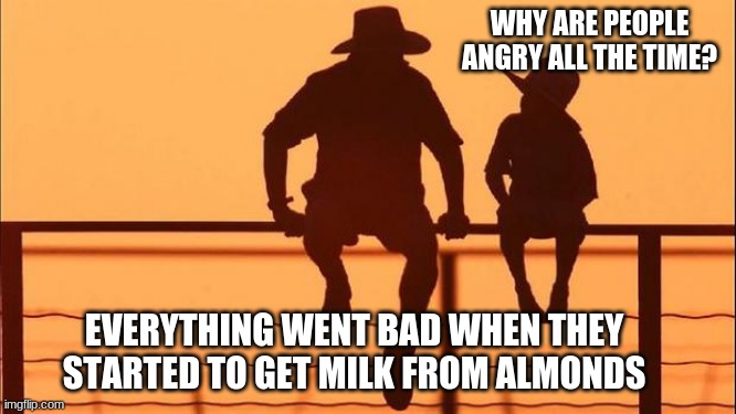 Cowboy wisdom on cause and effect | WHY ARE PEOPLE ANGRY ALL THE TIME? EVERYTHING WENT BAD WHEN THEY STARTED TO GET MILK FROM ALMONDS | image tagged in cowboy father and son,cowboy wisdom,cause and effect,how is started,why are people angry,almond milk is just wrong | made w/ Imgflip meme maker