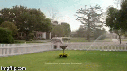 Sup | SUP | image tagged in gifs | made w/ Imgflip video-to-gif maker