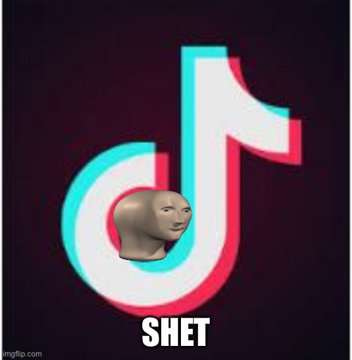 true | SHET | image tagged in tik tok | made w/ Imgflip meme maker