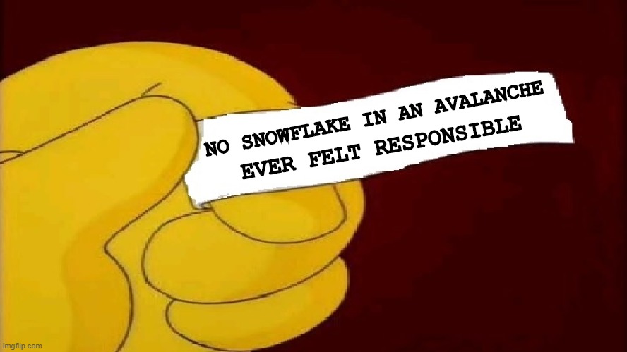 Stop ignoring the issues. | NO SNOWFLAKE IN AN AVALANCHE; EVER FELT RESPONSIBLE | image tagged in blank fortune cookie simpsons | made w/ Imgflip meme maker