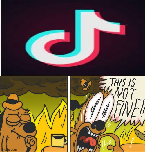 This is not fine | image tagged in this is not fine | made w/ Imgflip meme maker