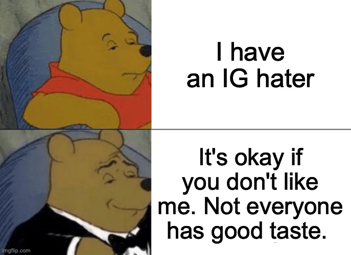 Anybody use this as their immediate response to haters? | I have an IG hater; It's okay if you don't like me. Not everyone has good taste. | image tagged in memes,tuxedo winnie the pooh | made w/ Imgflip meme maker