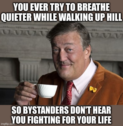 Sometimes | YOU EVER TRY TO BREATHE QUIETER WHILE WALKING UP HILL; SO BYSTANDERS DON'T HEAR YOU FIGHTING FOR YOUR LIFE | image tagged in did you know,walking up hill,you ever try,breathing,funny meme | made w/ Imgflip meme maker
