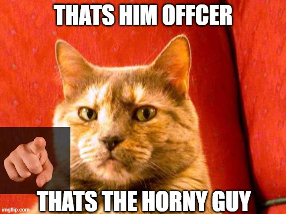 Suspicious Cat Meme | THATS HIM OFFCER; THATS THE HORNY GUY | image tagged in memes,suspicious cat | made w/ Imgflip meme maker