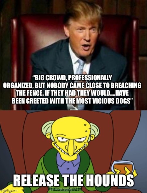 Release The Hounds | “BIG CROWD, PROFESSIONALLY ORGANIZED, BUT NOBODY CAME CLOSE TO BREACHING THE FENCE. IF THEY HAD THEY WOULD....HAVE BEEN GREETED WITH THE MOST VICIOUS DOGS”; RELEASE THE HOUNDS | image tagged in donald trump,mr burns release the hounds,memes,trump | made w/ Imgflip meme maker