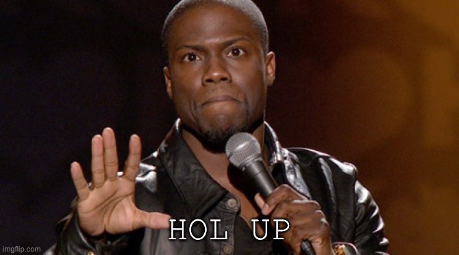 Hold up, Hold up.  | HOL UP | image tagged in hold up hold up | made w/ Imgflip meme maker
