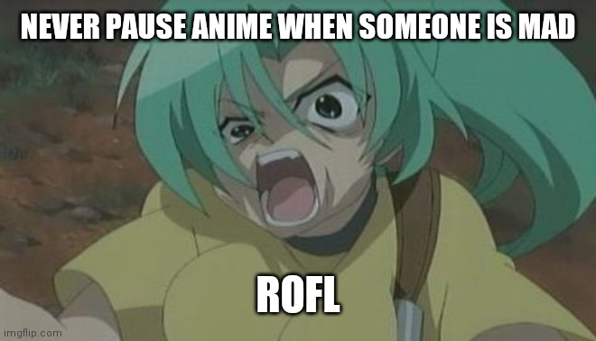 NEVER pause an anime | NEVER PAUSE ANIME WHEN SOMEONE IS MAD; ROFL | image tagged in never pause an anime | made w/ Imgflip meme maker
