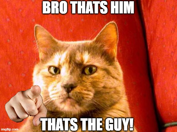 Suspicious Cat | BRO THATS HIM; THATS THE GUY! | image tagged in memes,suspicious cat | made w/ Imgflip meme maker