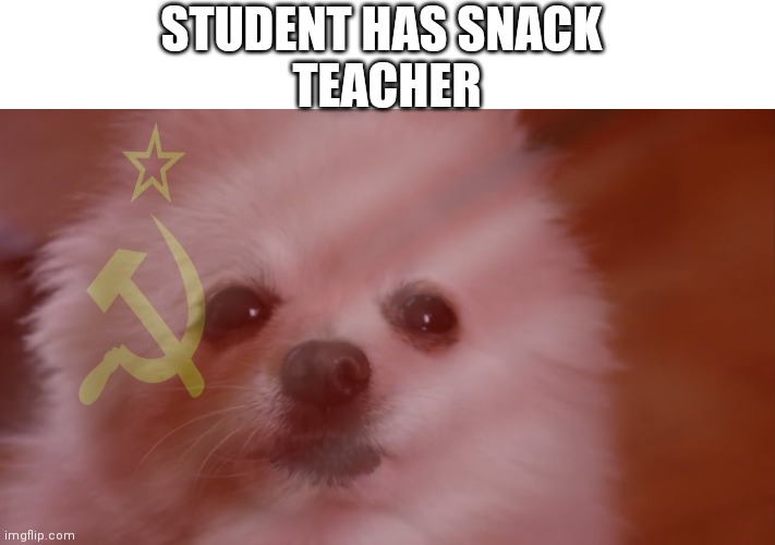 Communism | STUDENT HAS SNACK; TEACHER | image tagged in communism | made w/ Imgflip meme maker