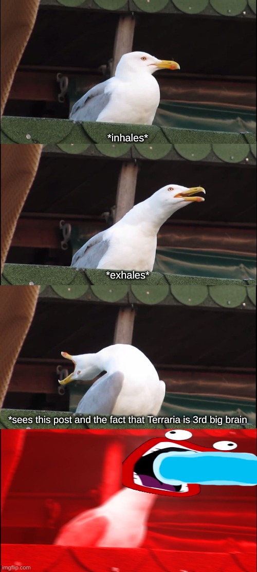 enraged seagull | *inhales* *exhales* *sees this post and the fact that Terraria is 3rd big brain | image tagged in enraged seagull | made w/ Imgflip meme maker