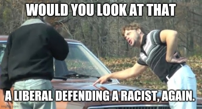 Would you look at that | WOULD YOU LOOK AT THAT A LIBERAL DEFENDING A RACIST, AGAIN. | image tagged in would you look at that | made w/ Imgflip meme maker