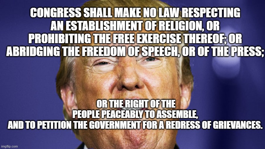 The First Amendment of the U.S. Constitution | OR THE RIGHT OF THE PEOPLE PEACEABLY TO ASSEMBLE, AND TO PETITION THE GOVERNMENT FOR A REDRESS OF GRIEVANCES. CONGRESS SHALL MAKE NO LAW RESPECTING AN ESTABLISHMENT OF RELIGION, OR PROHIBITING THE FREE EXERCISE THEREOF; OR ABRIDGING THE FREEDOM OF SPEECH, OR OF THE PRESS; | image tagged in traitor,impeached,first amendment,psychopath,pathological liar,criminal | made w/ Imgflip meme maker