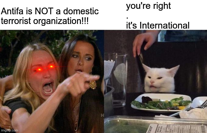 Antifa | Antifa is NOT a domestic terrorist organization!!! you're right
.
it's International | image tagged in memes,woman yelling at cat,antifa,domestic terrorists,international terrorists,political meme | made w/ Imgflip meme maker