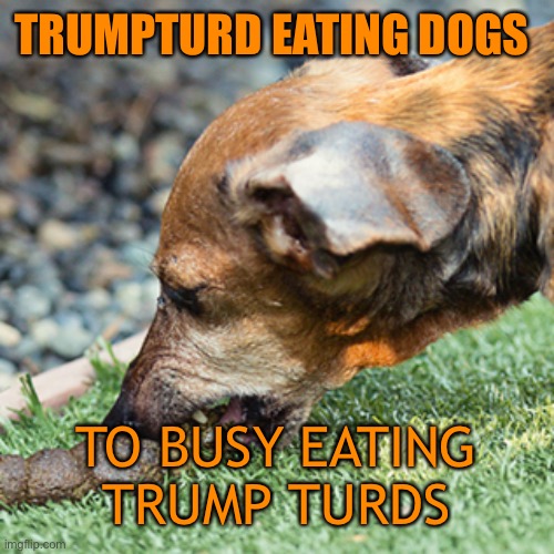 TRUMPTURD EATING DOGS TO BUSY EATING TRUMP TURDS | made w/ Imgflip meme maker
