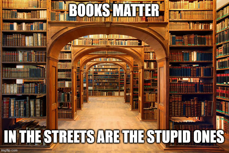 Library | BOOKS MATTER; IN THE STREETS ARE THE STUPID ONES | image tagged in library | made w/ Imgflip meme maker