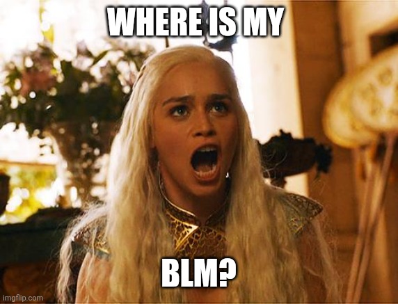Where are my dragons | WHERE IS MY BLM? | image tagged in where are my dragons | made w/ Imgflip meme maker