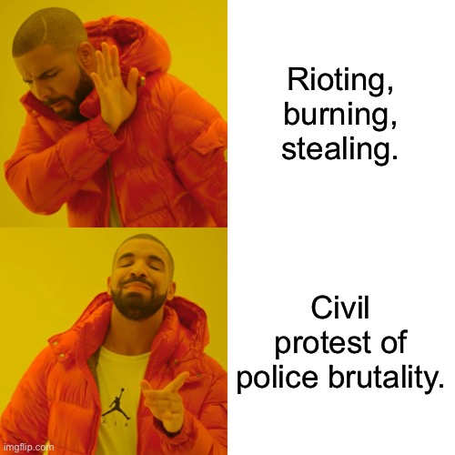 Protest good | Rioting, burning, stealing. Civil protest of police brutality. | image tagged in memes,drake hotline bling | made w/ Imgflip meme maker